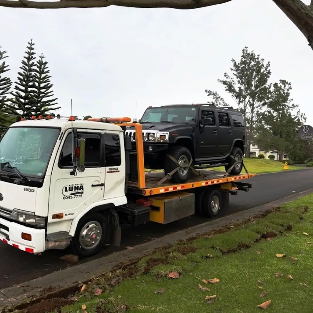 Plataforma de Transporte